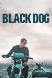 Cover Film Black Dog